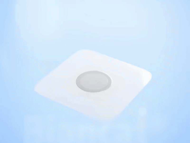 Alt Image